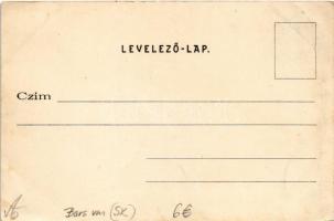 Vihnye, Vihnyefürdő, Kúpele Vyhne; látkép / general view, spa (fl)