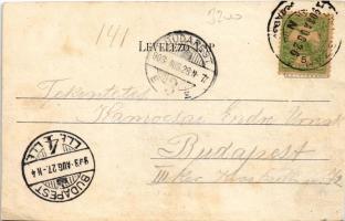 1903 Szántó, Santovka; Szántói savanyúvíz forrás, Pavilon a forrás felett. Divald Károly kiadása / m...