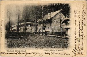 1906 Koritnyica, Korytnica; Stefánia, Amerika és Orvos lak, nyaralók. Kohn A. kiadása / villas (tűnyomok / pin marks)