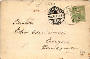 1906 Koritnyica, Korytnica; Stefánia, Amerika és Orvos lak, nyaralók. Kohn A. kiadása / villas (tűny...