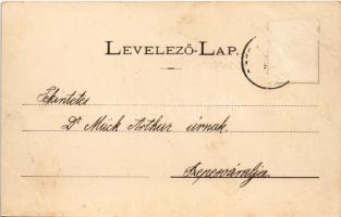 Baldóc, Baldócz-fürdő, Kúpele Baldovce; Fürdőház télen, Lobogó fürdő, a fürdő látképe. Wlaszlovits G...