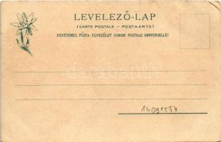 Lucsivna, Lautschburg, Lucivná (Magas-Tátra, Vysoké Tatry); Lucsivnafüred a Krivánnal, Neptun nyaral...