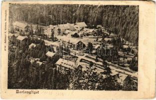 1901 Barlangliget, Höhlenhain, Tatranská Kotlina (Tátra, Magas-Tátra, Vysoké Tatry); látkép. Balkányi S. kiadása / general view, spa (EM)