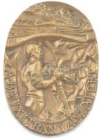 ~1970-1980 A Bauxitbányászatért / Bakonyi Bauxitbánya bronz emlékplakett, szign.:EM (105x72mm) T:1-