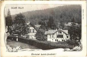 1907 Lublófüred, Lubló-fürdő, Kúpele Lubovna (Ólubló, Stará Lubovna); Silvia nyaraló. Sima Antal kiadása / villa, spa. Art Nouveau, floral (kopott sarkak / worn corners)