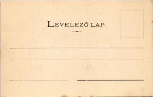 1906 Lublófüred, Lubló-fürdő, Kúpele Lubovna (Ólubló, Stará Lubovna); Kermetzky nyaraló. Szeiffert E...