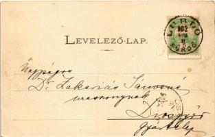 1902 Lublófüred, Lubló-fürdő, Kúpele Lubovna (Ólubló, Stará Lubovna); Erdőrészleti sétányok, sétány ...