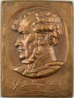 DN "Széchenyi István balra néző portréja" egyoldalas öntött bronz plakett "Karl Strobl" jelzéssel, utánöntés(?) (205x155mm) T:1- kis patina