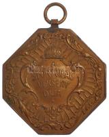 ~1900. A Sportvilág Verseny Díja kétoldalas, bronz kerékpáros díjérem füllel (31x31mm) T:1- patina