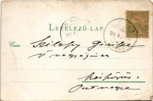 1902 Iglófüred, Spisská Nová Ves Kupele, Novovesské Kúpele; nyaraló szálloda. Wlaszlovits G. kiadása...