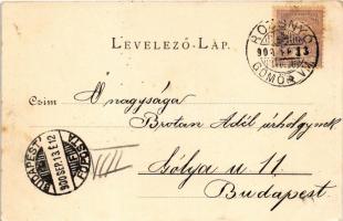 1900 Rozsnyó, Roznava; Vasas gyógyfürdő szálloda. Pauchly Nándor kiadása. Vogel D. felvétele / spa, ...