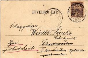 1901 Rozsnyó, Roznava; Vasas gyógyfürdő. Falvi Jenő kiadása / spa, bath (EK)