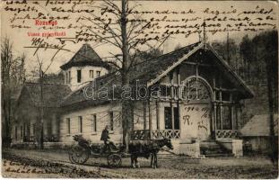 1914 Rozsnyó, Roznava; Zelezná kúpele / Vasas gyógyfürdő, lovaskocsi / spa, bath, horse-drawn carriage (EK)