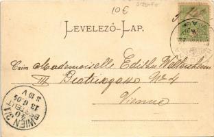 1904 Pöstyén, Pistyan, Piestany; Gyógyház / Kursalon / spa, bath (EK)