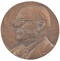 ~1970 "Hans-Adalbert Schweigart / Háború a betegségek ellen" kétoldalas bronz emlékérem (6...