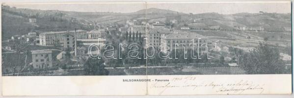 1906 Salsomaggiore, Grandiose Terme Magnaghi - 2-tiled folding panoramacard (fl)