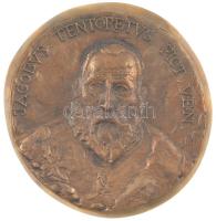 DN JACOBVS TENTORETVS PICT VEN egyoldalas öntött bronz emlékérem (112mm) T:1-