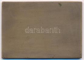 1958. "Magyarország - Jugoszlávia, Tatabánya, 1958. okt. 5." bronz atlétikai plakett (68x4...