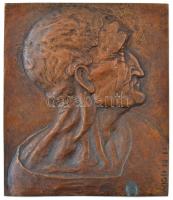 Vígh Máté (1959-2009) DN Idős férfi bronz plakett (112x95mm) T:2 kis patina