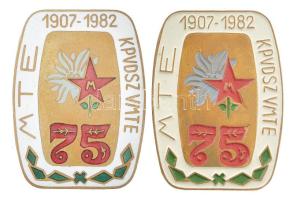 1982. MTE 1907-1982 KPVDSZ VMTE 75 (Vörös Meteor Természetbarát Egyesület) zománcozott és festett tombak jelvény pár T:1-