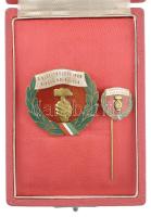 ~1950. "A Szövetkezeti Ipar Kiváló Dolgozója" zománcozott jelvény miniatűrrel, dísztokban ...