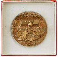 ~1980. MTE Nagyszénás öntött bronz plakett tokban (70mm) T:1 szélén festéknyomok