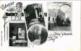 1934 Szikszó, Abaúj-Szikszó; Gróf Hunyady kastély, termek belseje, folyosó, fasor a parkban. Türk S. fényképész, Art Nouveau, floral