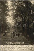 1905 Magyaróvár, Mosonmagyaróvár; Főhercegi kastély liget. photo (EK)