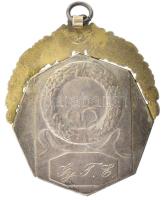 ~1910. "Gy.T.E." kétoldalas, jelzett Ag díjérem "SGA" gyártói jelzéssel, bronz d...