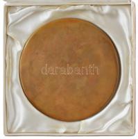 DN "Csepelért" Br plakett eredeti tokban (~116mm) Szign.:C A(?) T:1