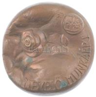 Nagy István János (1938-) DN Nevelő munkáért Budapest- címerrel öntött bronz egyoldalas emlékérem (92mm) T:1 patina