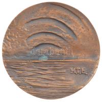 DN "Puskás Tivadar díj / H.T.E" Hírközlési és Informatikai Tudományos Egyesület kétoldalas...