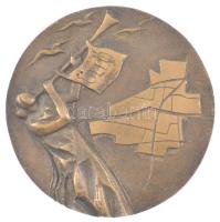 DN "Üllő nagyközség szocialista fejlesztéséért" kétoldalas öntött bronz plakett (96mm) T:1