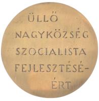DN "Üllő nagyközség szocialista fejlesztéséért" kétoldalas öntött bronz plakett (96mm) T:1