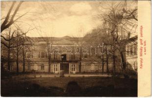 Budapest V. Károlyi Mihály gróf palotája a kert felől (EK)