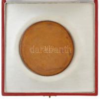 Palotás József (1947-) DN "Dunai Vasmű 25 éves Törzsgárdatag" öntött bronz plakett, hátold...