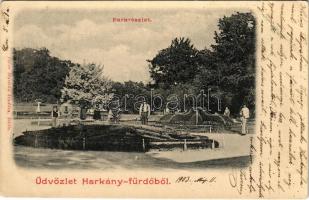 1903 Harkány-fürdő, park. Feiler Mariska kiadása (EK)