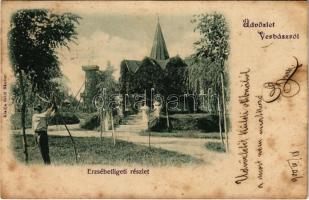 1900 Verbász, Vrbas; Erzsébet ligeti részlet, kertész, kilátótorony. Seidl Nándor kiadása / park, gardener, lookout tower (fl)