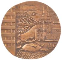 1975. Eger HÉV (Heves Megyei Építő Vállalat) - 25 év 1950-1975 kétoldalas öntött bronz emlékérem T:1