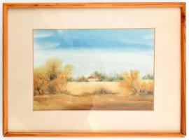 Tóth László: Táj. Akvarell, papír, jelzett, üvegezett keretben 14x27 cm