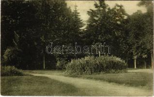 1925 Nagybánya, Baia Mare; Partie din parc / Liget / park (EK)