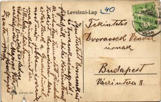 1914 Zenta, Senta; Népkert este. Molnár Sz. Vince kiadása / park at night (szakadás / tear)