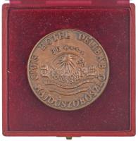 Józsa Lajos (1944-) 1989. "30 éves a Hotel Délibáb, Hajdúszoboszló" kétoldaú, öntött bronz...