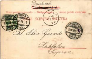 1899 (Vorläufer) Zürich, Zurich; general view. Gebr. Künzli litho (EK)