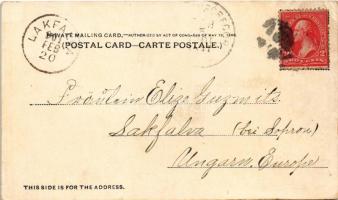 1901 Chicago (Illinois), Courthouse & City Hall, Art Institute. E. C. Kropp Art Nouveau, floral ...