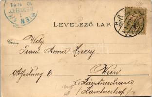 1901 Budapest, Tabán a Gellértheggyel, Andrássy út az Oktogon térrel, lóvasút, Országház, Parlament,...