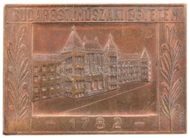 1982. Budapesti Műszaki Egyetem 1782 egyoldalas bronz plakett. Szign.: Szőnyi (63x46mm) T:1-