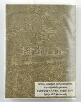 38 db főleg RÉGI motívum képeslap kis albumban: színészes és híres emberek / 38 mostly pre-1945 moti...