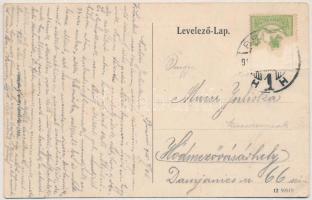 1915 Brassó, Kronstadt, Brasov; Sommerfrische Noa / Noa nyaraló. Brassói Lapok kiadása / Noua (fa)