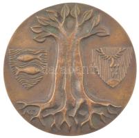 Asszonyi Tamás (1942- ) ~1970. Mecsekvidéki Intéző Bizottság kétoldalas, öntött bronz emlékérem (94mm) T:1 patina